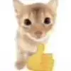 👍 Эмодзи «Kittens #kittens» для Telegram