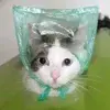 🙂 Эмодзи «Kittens #kittens» для Telegram