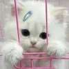 🌟 Эмодзи «Kittens #kittens» для Telegram