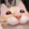 😁 Эмодзи «Kittens #kittens» для Telegram