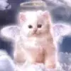 😇 Эмодзи «Kittens #kittens» для Telegram