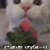 🌟 Эмодзи «Kittens #kittens» для Telegram
