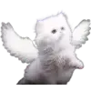 😾 Эмодзи «Kittens #kittens» для Telegram