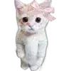 🐈 Эмодзи «Kittens #kittens» для Telegram
