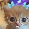 🤓 Эмодзи «Kittens #kittens» для Telegram