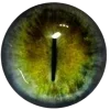 👁️ Эмодзи «Random #random» для Telegram