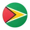 🇬🇾 Эмодзи «Round Flags #flags #other» для Telegram