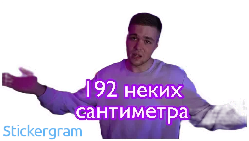 🤷‍♀️ Стикер «Хабибуллины» для Telegram