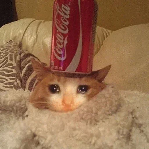 🥺 Стикер «Hagh Pack Cat» для Telegram