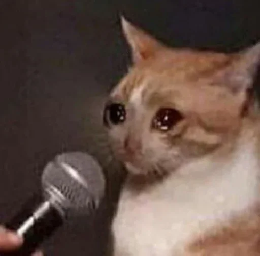 🥺 Стикер «Hagh Pack Cat» для Telegram