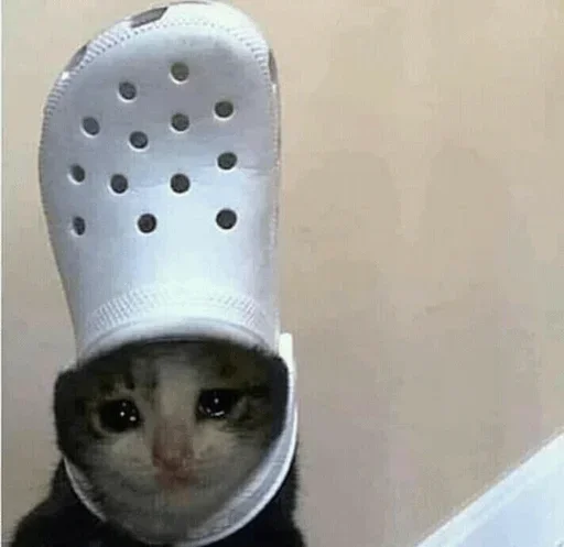 🥺 Стикер «Hagh Pack Cat» для Telegram