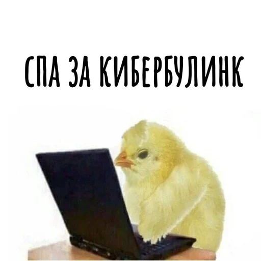 Стикерпак Хамим Красиво для Telegram — скачать