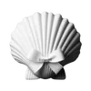 🌟 Эмодзи «𝐰𝐡𝐢𝐭𝐞 𝐫𝐢𝐛𝐛𝐨𝐧𝐬 𐙚» для Telegram