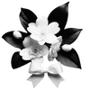 🌟 Эмодзи «𝐰𝐡𝐢𝐭𝐞 𝐫𝐢𝐛𝐛𝐨𝐧𝐬 𐙚» для Telegram