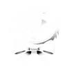🌟 Эмодзи «𝐰𝐡𝐢𝐭𝐞 𝐫𝐢𝐛𝐛𝐨𝐧𝐬 𐙚» для Telegram