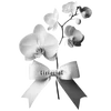 🌟 Эмодзи «𝐰𝐡𝐢𝐭𝐞 𝐫𝐢𝐛𝐛𝐨𝐧𝐬 𐙚» для Telegram