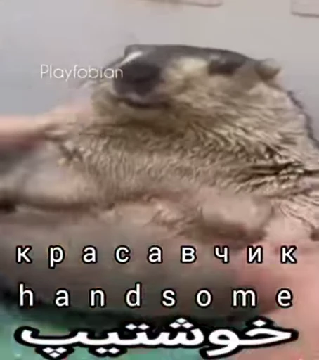Стикерпак Handsome? для Telegram — скачать