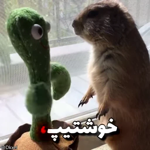 🦫 Стикер «Handsome?» для Telegram