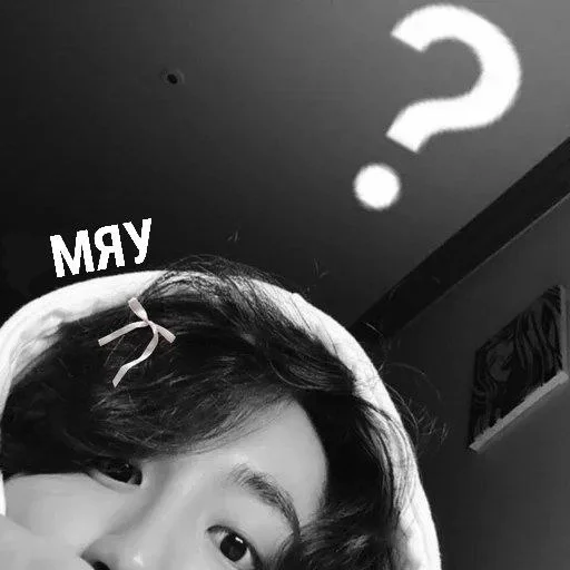 😽 Стикер «HAN JISUNG» для Telegram