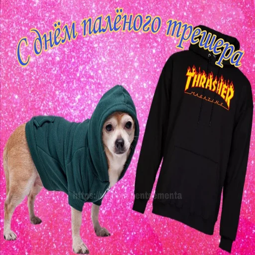 👕 Стикер «С днем цемента» для Telegram
