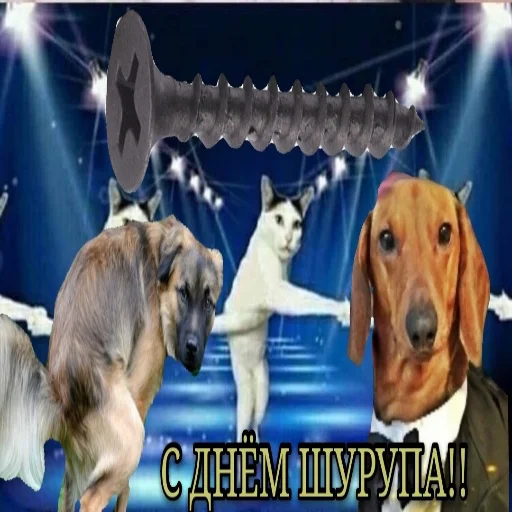 👷‍♂ Стикер «С днем цемента» для Telegram