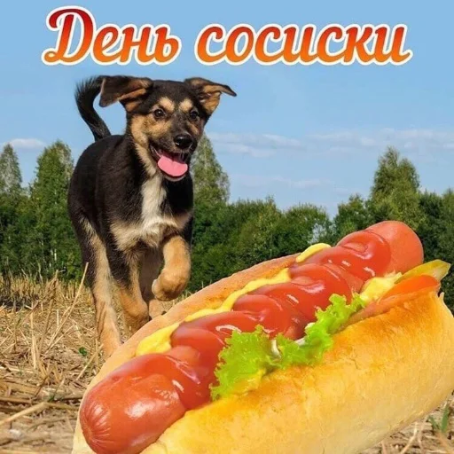 🟥 Стикер «С днем цемента» для Telegram