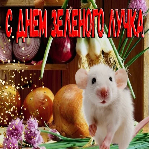 🌱 Стикер «С днем цемента» для Telegram