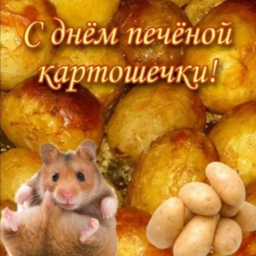 🐭 Стикер «С днем цемента» для Telegram