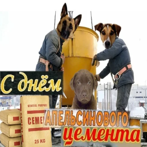 🧽 Стикер «С днем цемента» для Telegram