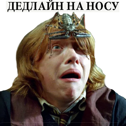 😲 Стикер «Harry Potter Stickers» для Telegram