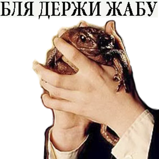 🐸 Стикер «Harry Potter Stickers» для Telegram