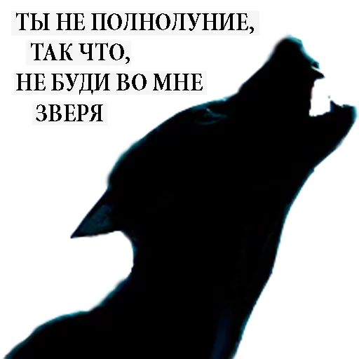 😤 Стикер «Harry Potter Stickers» для Telegram