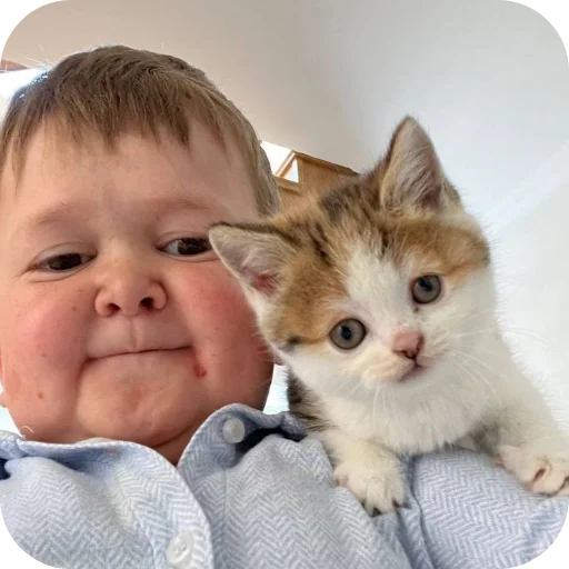 ❤ Стикер «Hasbik» для Telegram