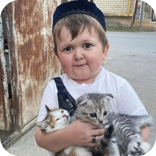 🐱 Стикер «Hasbik» для Telegram
