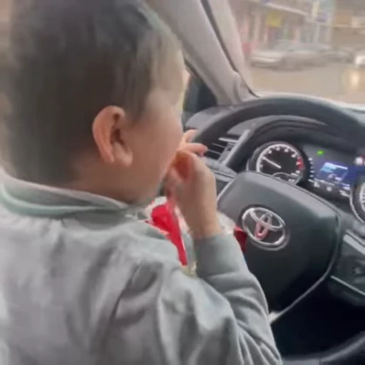 🚗 Стикер «Хасбик» для Telegram