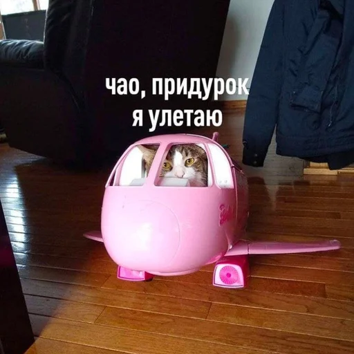 🐁 Стикер «мать в канаве» для Telegram
