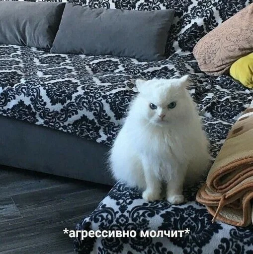 🐁 Стикер «мать в канаве» для Telegram