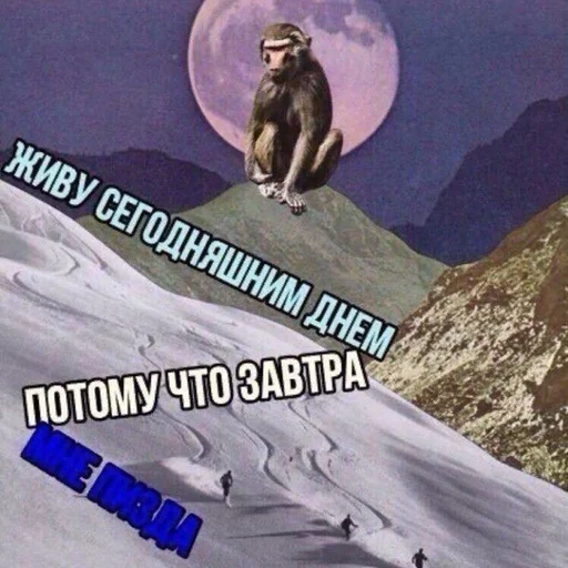 🐁 Стикер «мать в канаве» для Telegram
