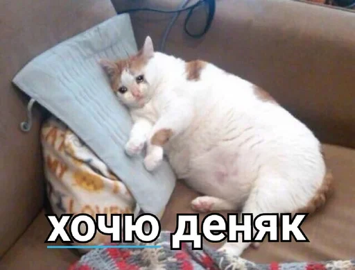 🐁 Стикер «мать в канаве» для Telegram