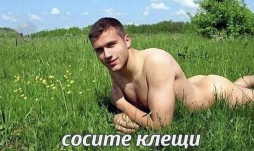 🐁 Стикер «мать в канаве» для Telegram