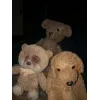 💟 Эмодзи «Haunted Mound» для Telegram