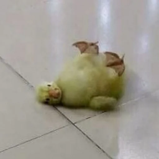👶 Стикер «Birb» для Telegram