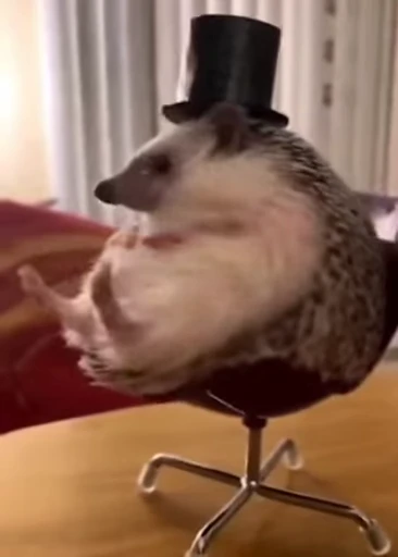 Стикерпак Hedgehog для Telegram — скачать