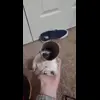 👀 Эмодзи «☺ Ёжики» для Telegram