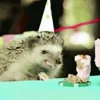 🥳 Эмодзи «☺ Ёжики» для Telegram