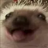 😋 Эмодзи «☺ Ёжики» для Telegram