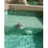 ☺️ Эмодзи «☺ Ёжики» для Telegram