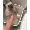 ☺️ Эмодзи «☺ Ёжики» для Telegram