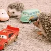 🚐 Эмодзи «☺ Ёжики» для Telegram