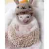 😋 Эмодзи «☺ Ёжики» для Telegram